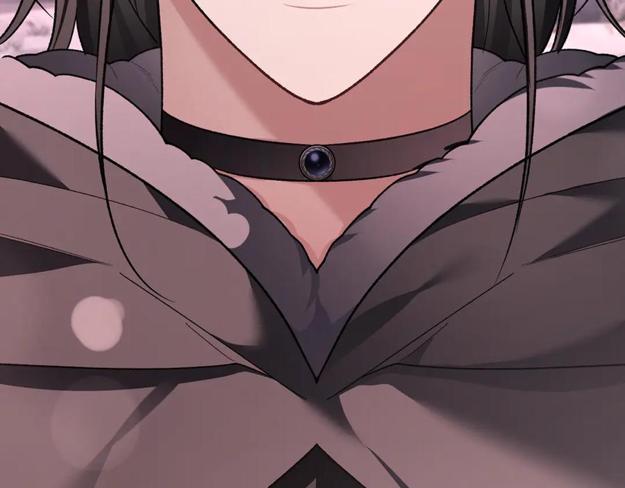 第255页