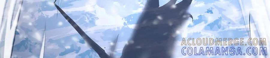 第221页