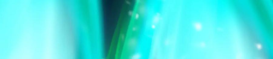 第231页