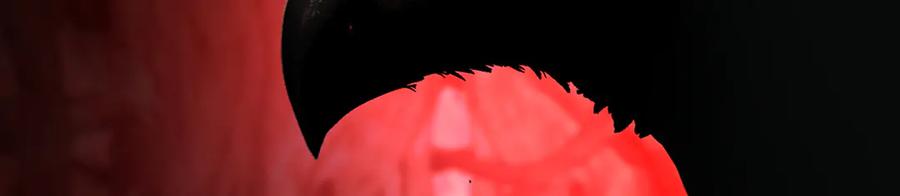 第222页