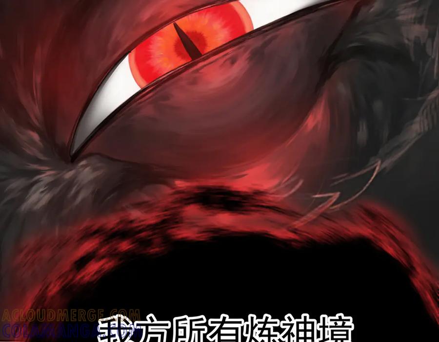 第229页