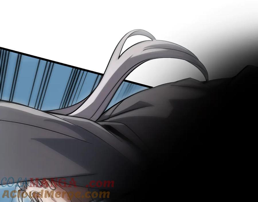 第233页
