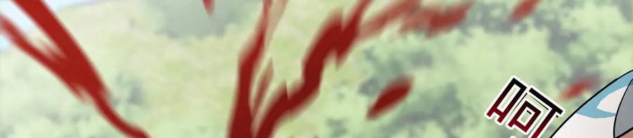 第255页