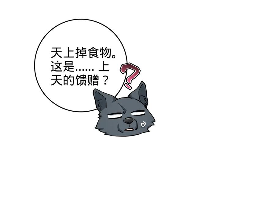 第219页