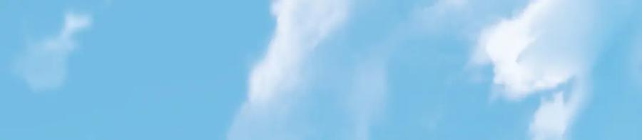 第203页