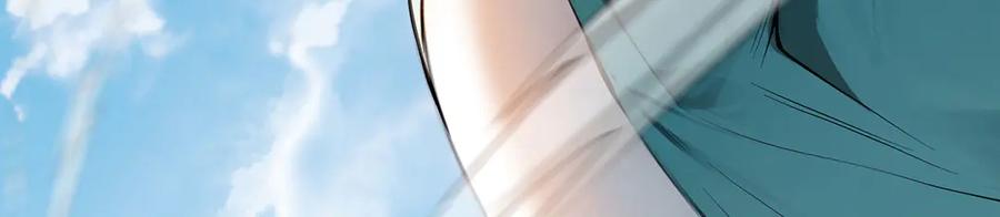 第223页