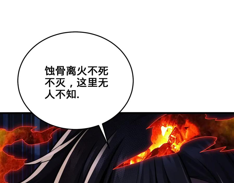 第223页