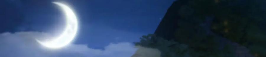 第204页