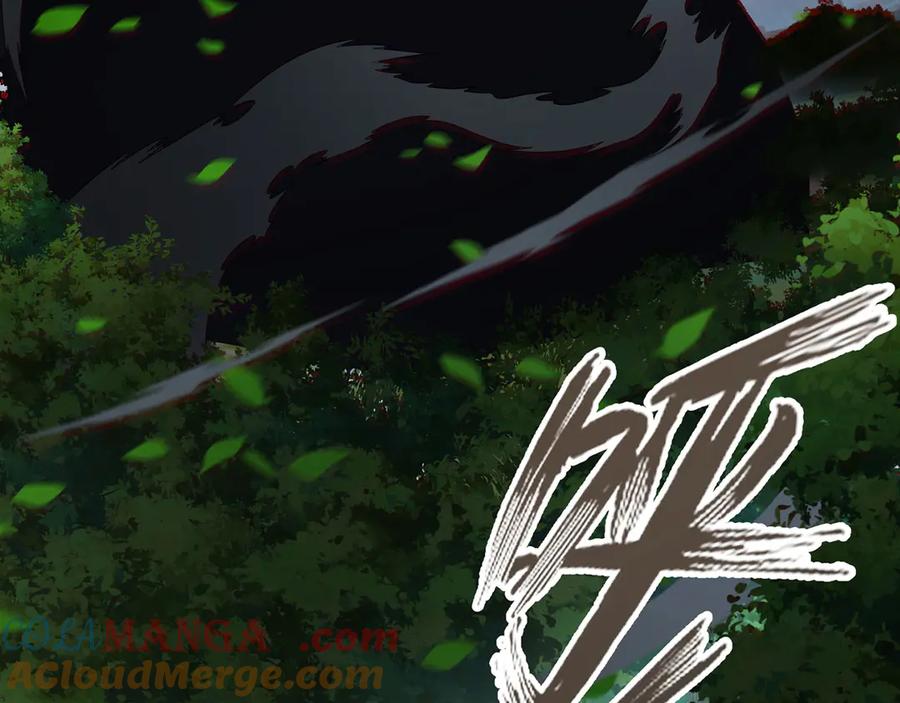 第241页