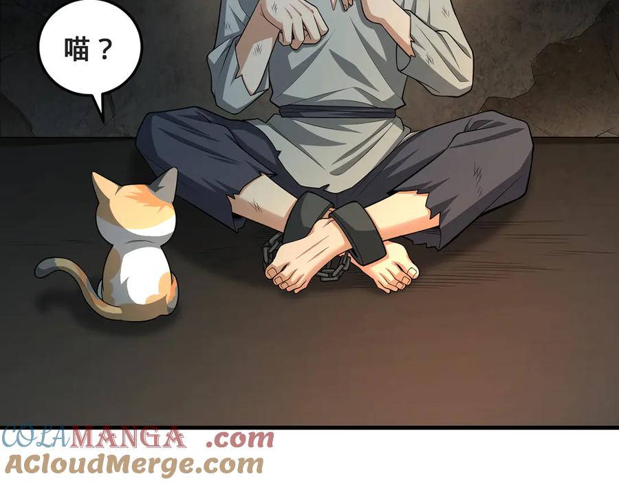 第213页