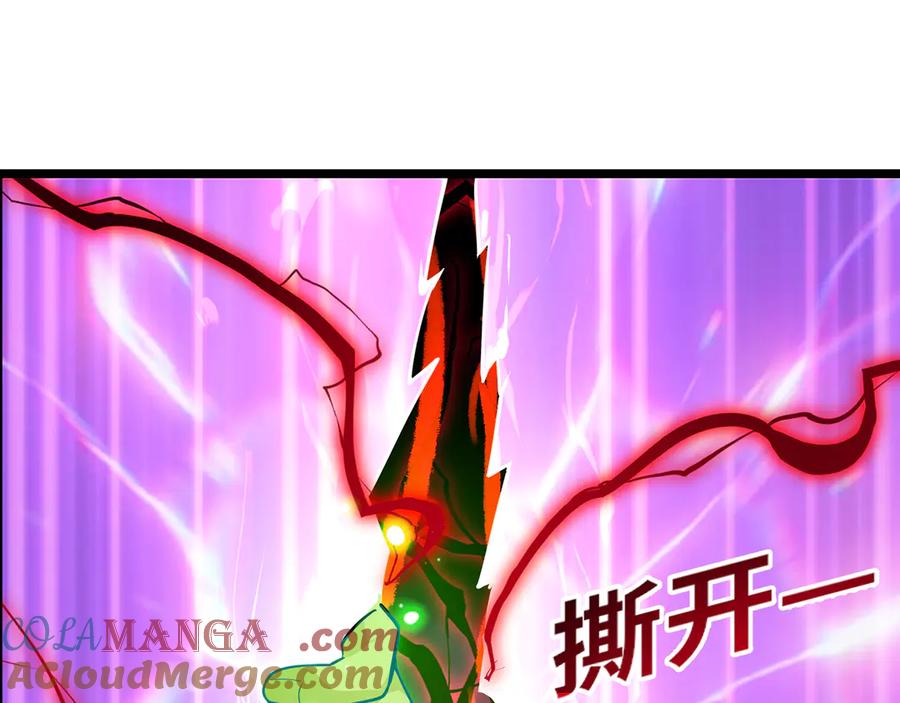 第205页