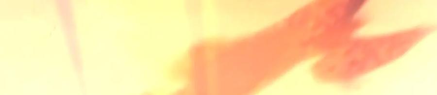 第184页