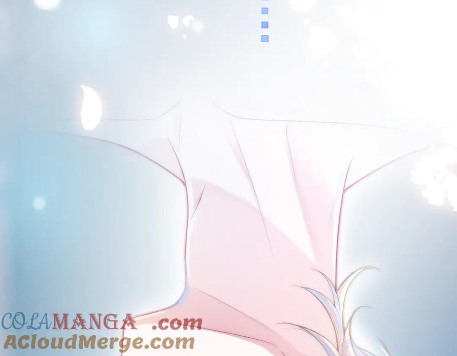 第205页