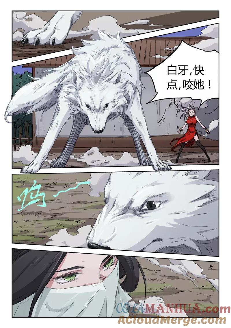 第5页