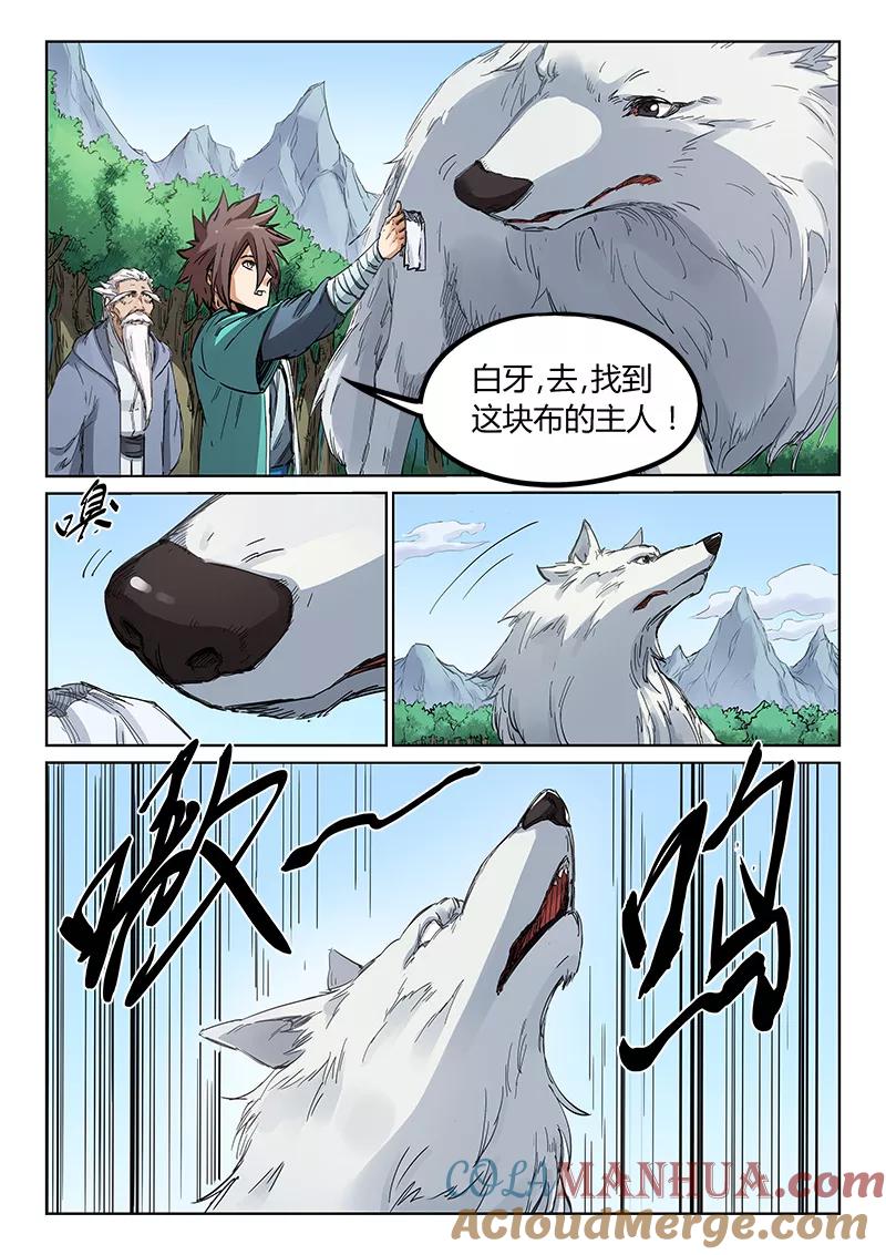 第5页