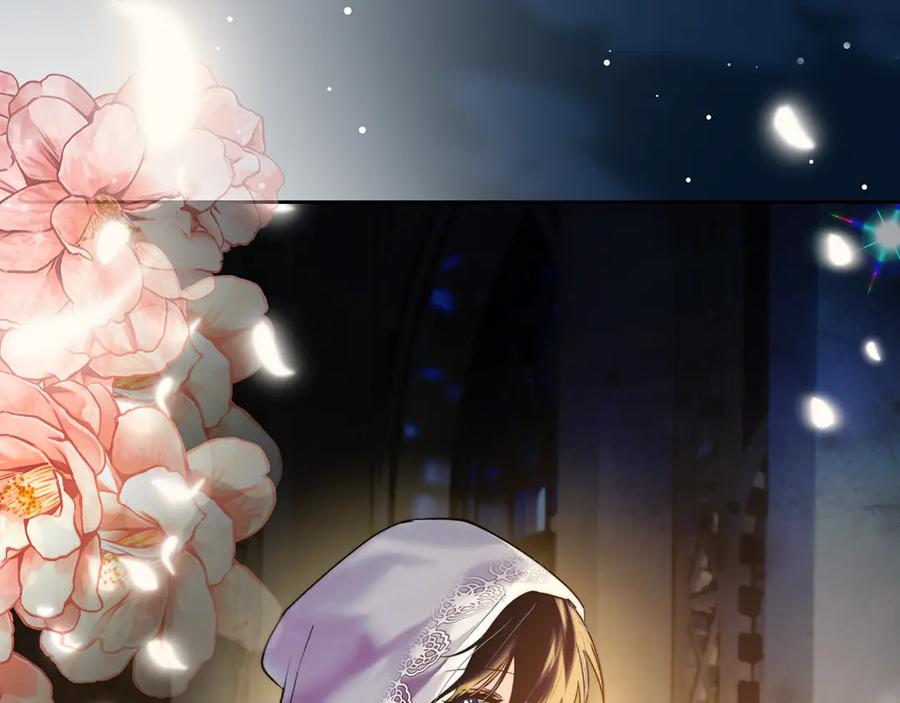 第203页