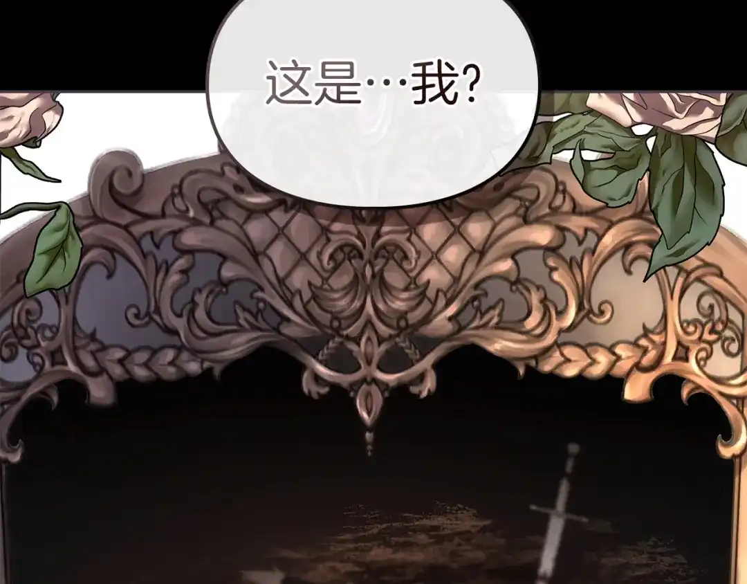 第204页