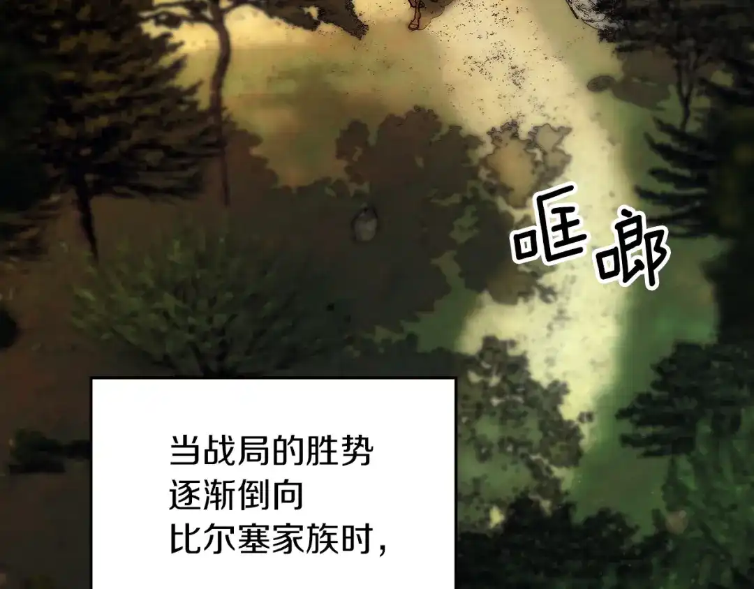 第213页