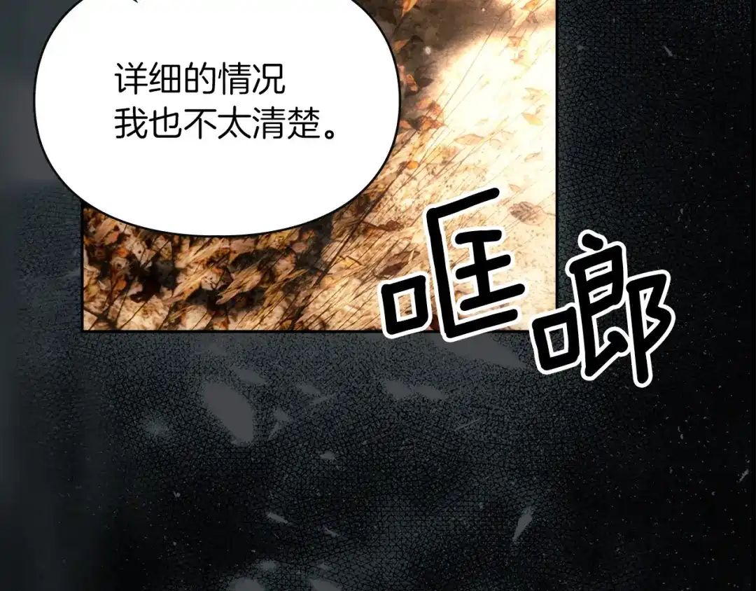 第223页
