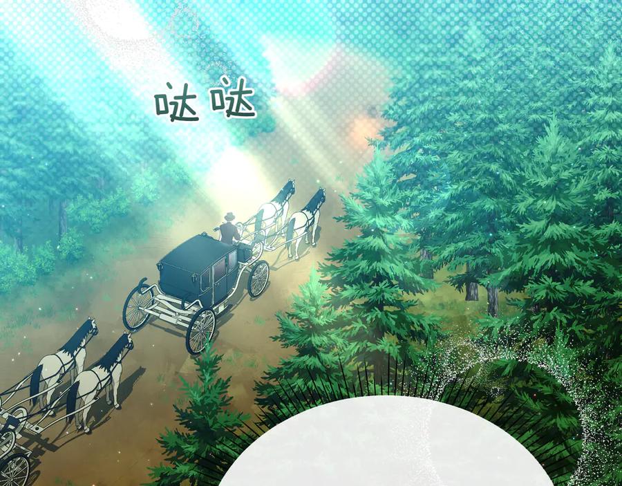 第219页