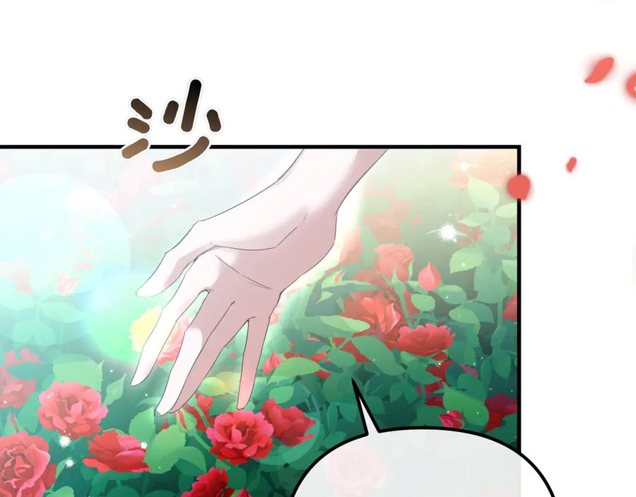 第246页