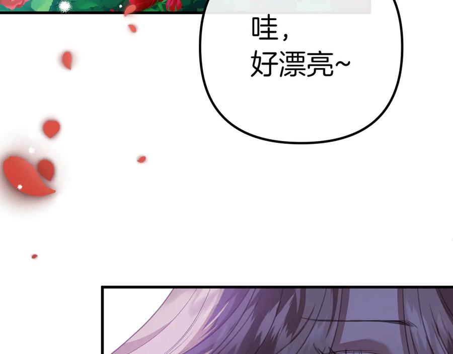 第247页