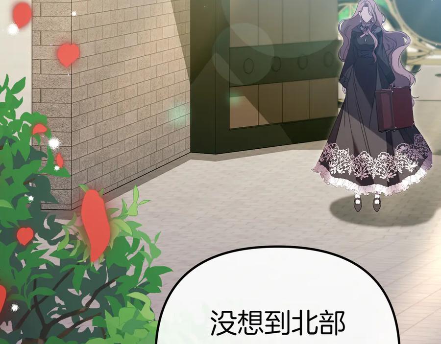 第251页