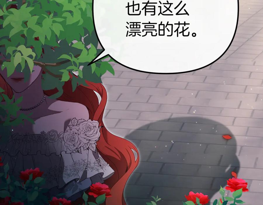 第252页