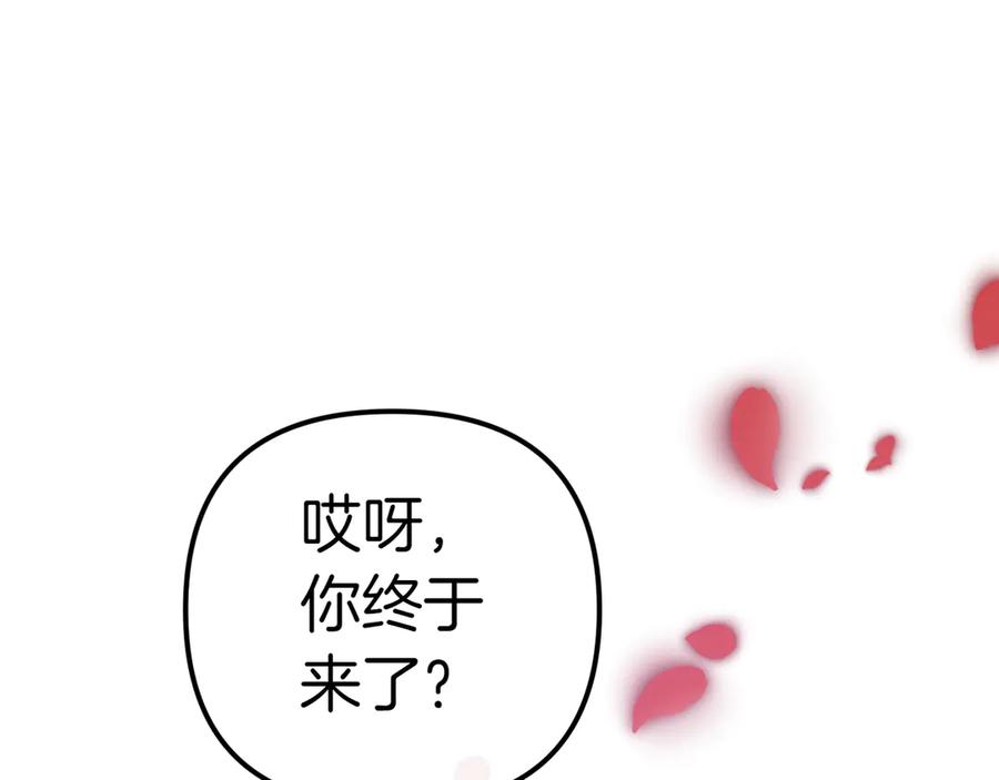 第255页