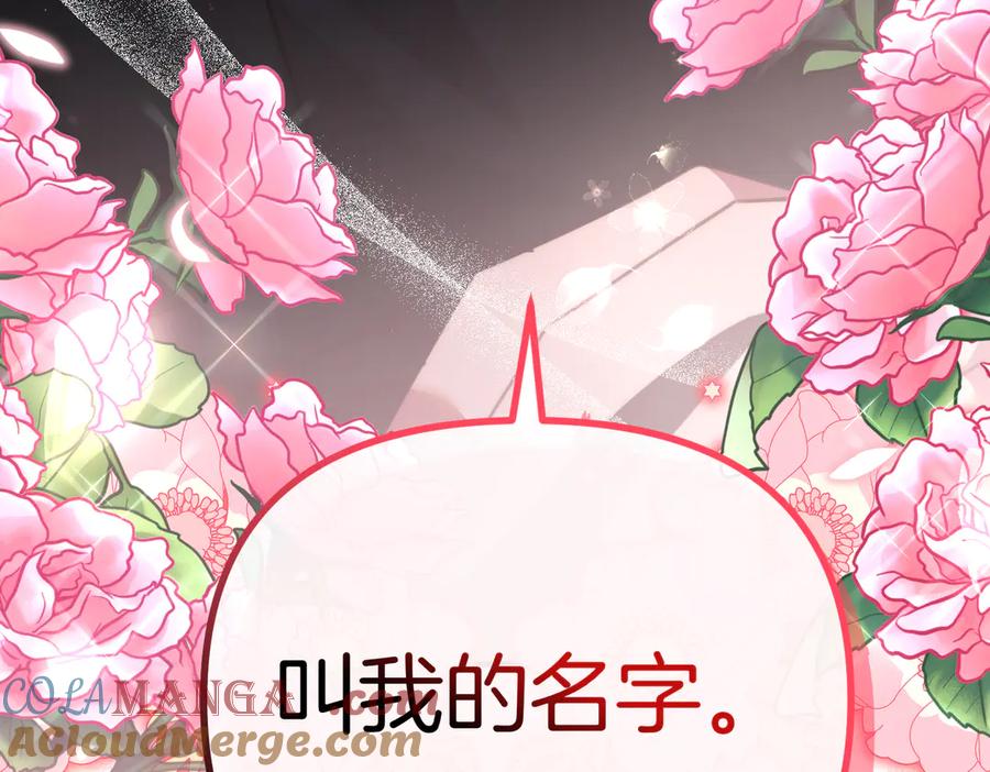 第233页
