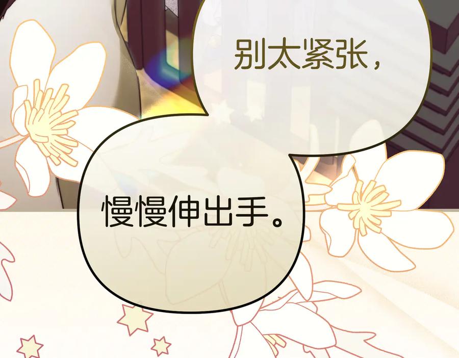 第206页