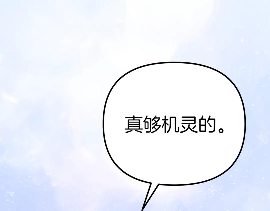 第259页