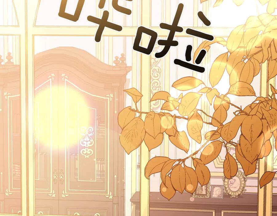 第211页