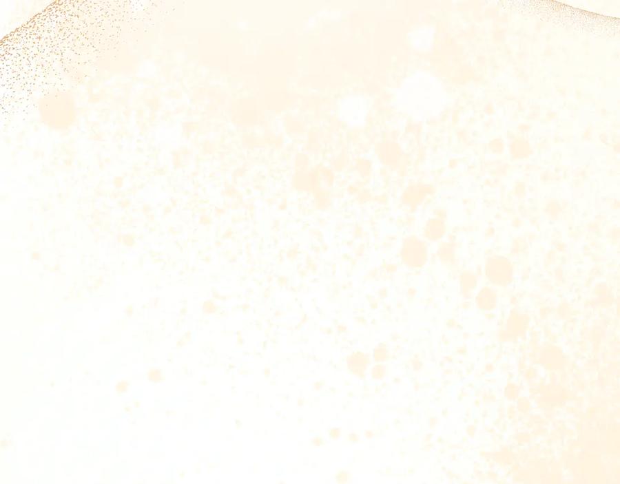 第255页