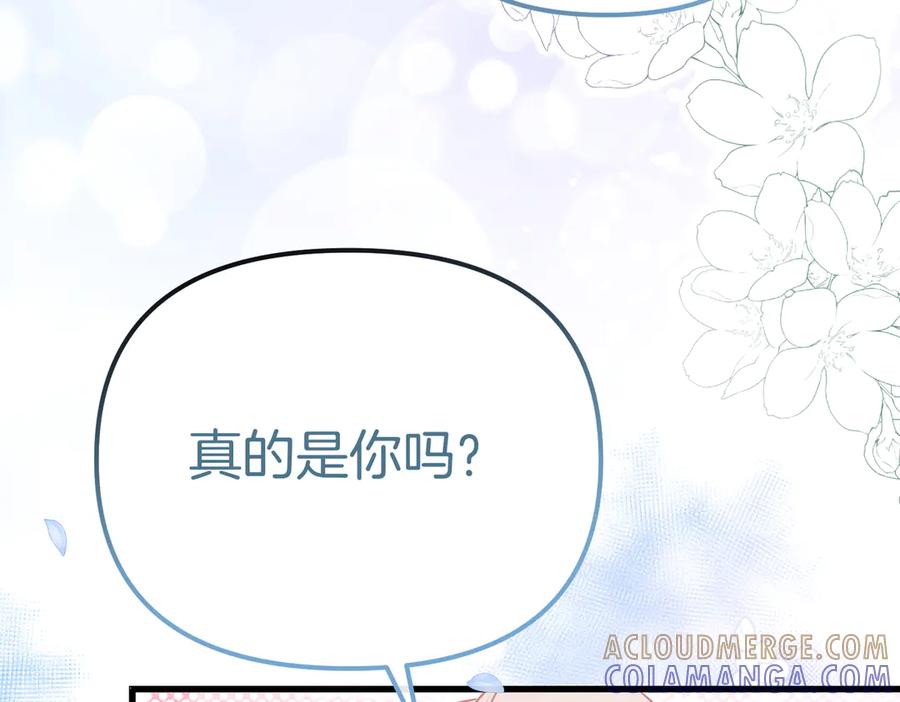 第281页