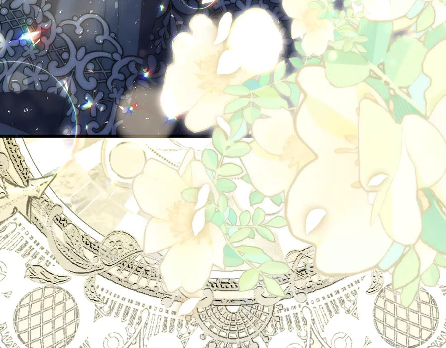 第215页