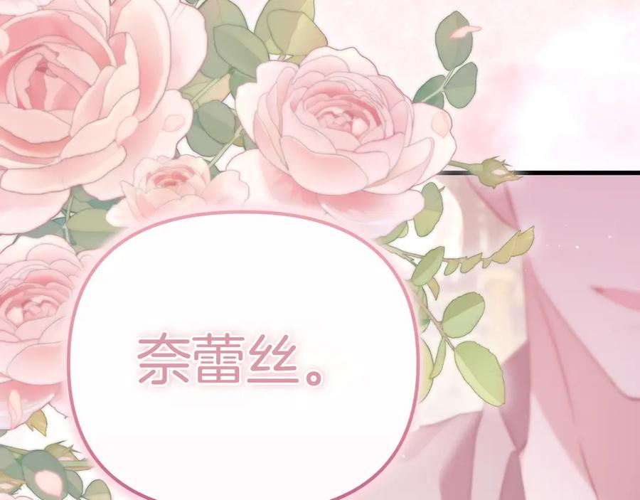 第234页
