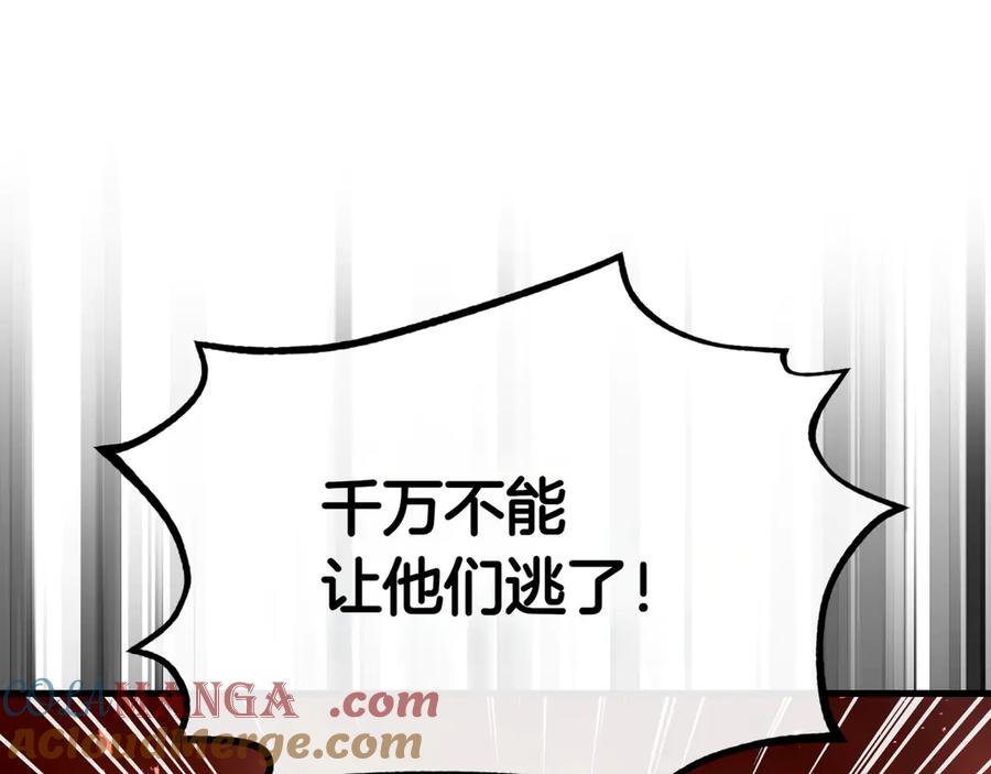 第233页