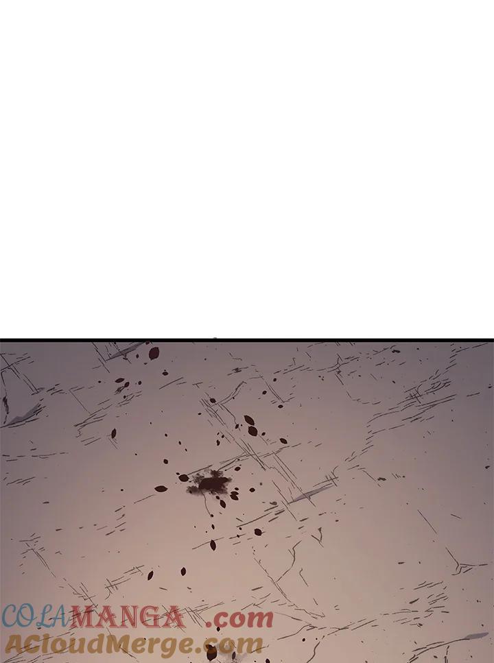 第217页
