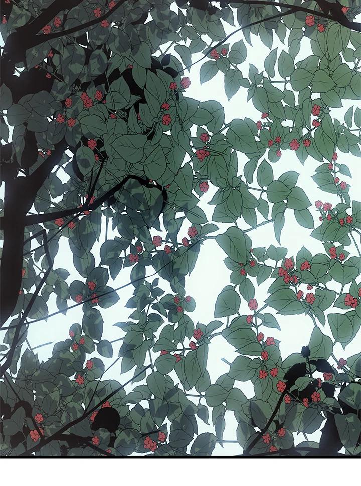 第250页