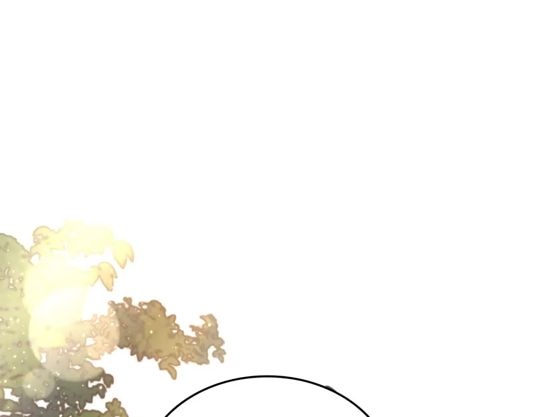 第233页