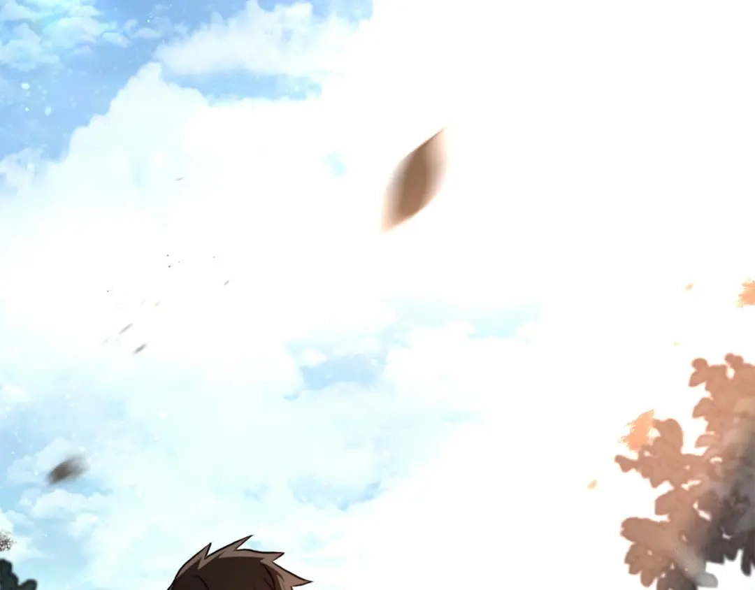 第256页