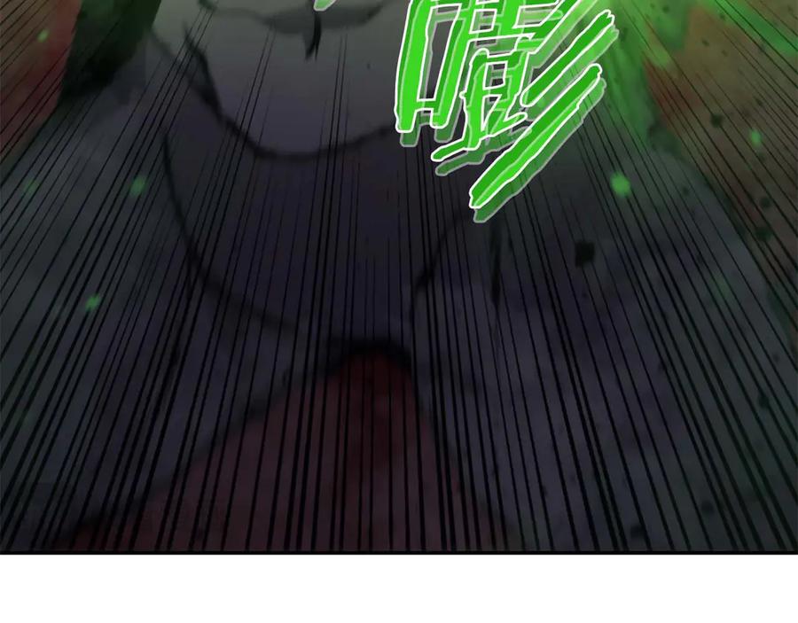 第231页