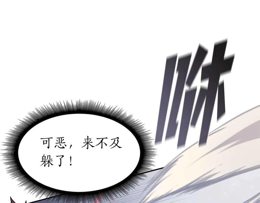 第223页
