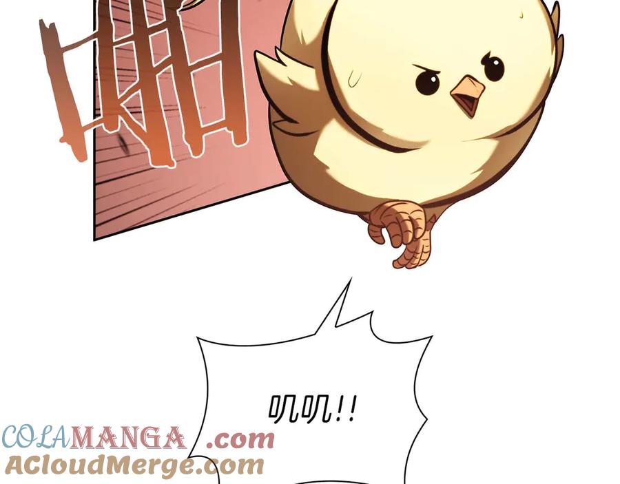 第213页