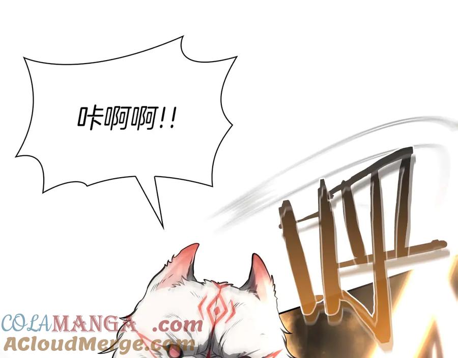 第213页