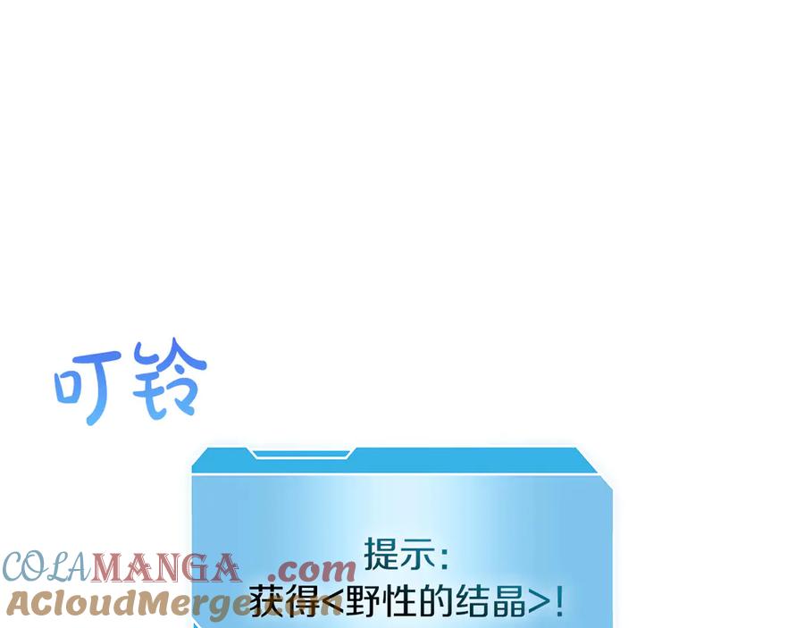 第217页