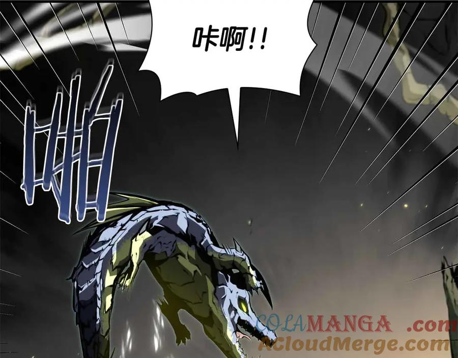 第217页