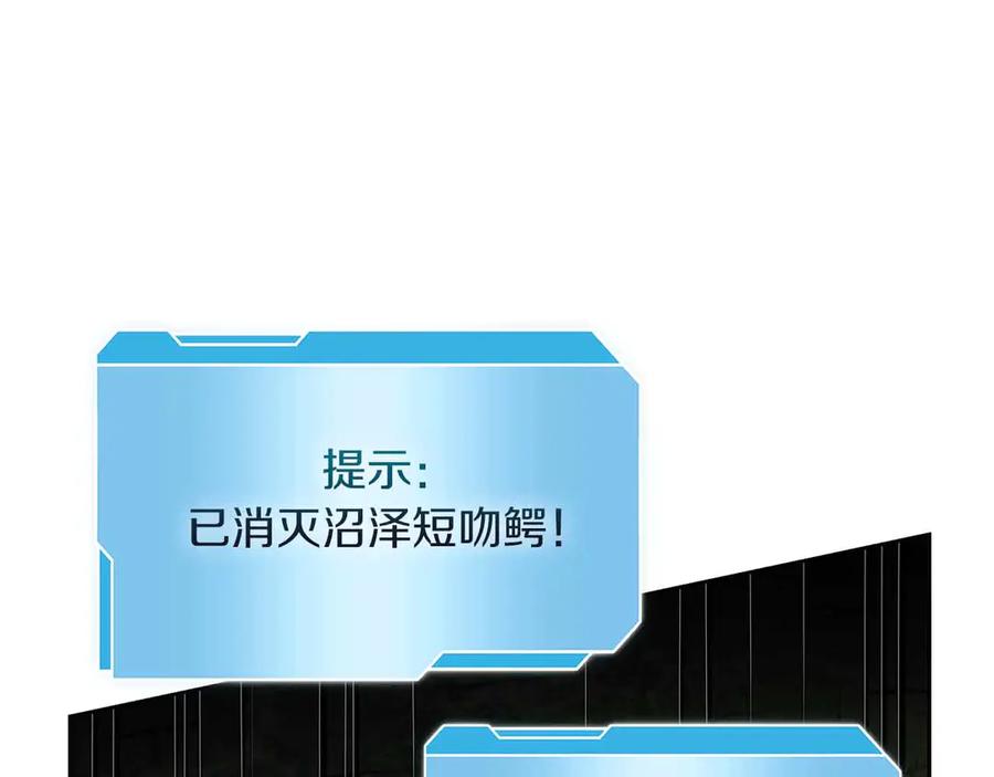 第243页