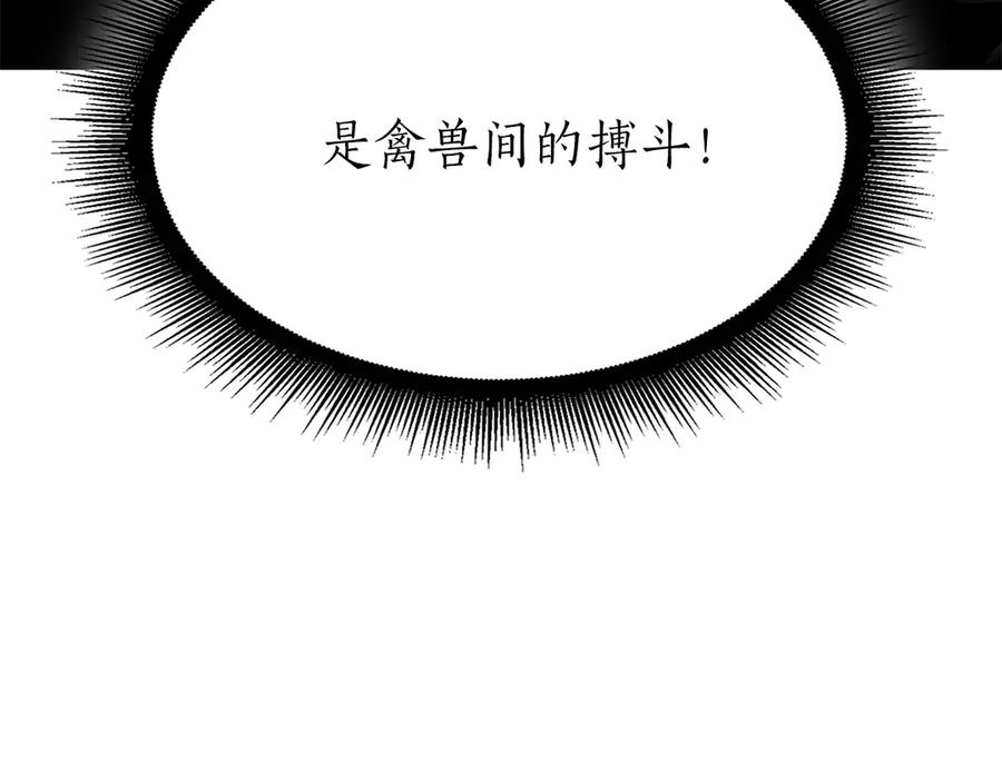 第244页